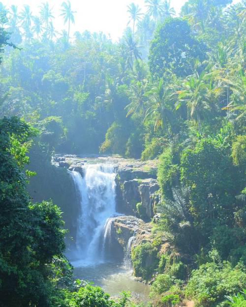 theidledaze:  I got to climb right down to the base of the waterfall, slipped a few times but so did