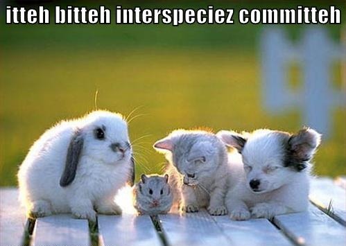 Covey of cuteness