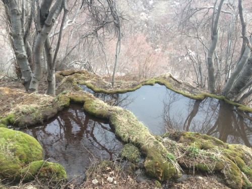 adventurealldays:Magic pools