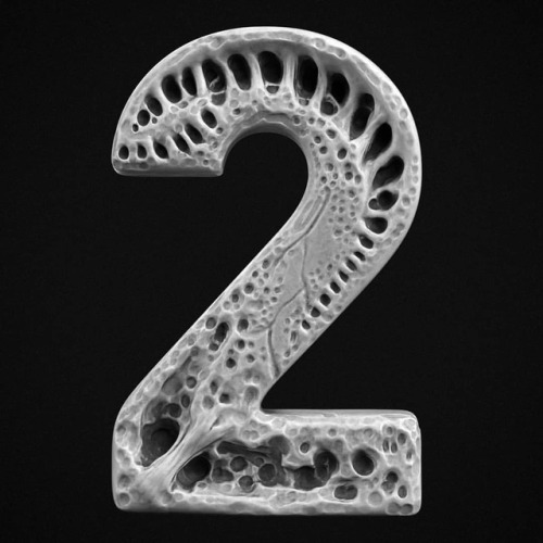 «2»
.
.
.
@36daysoftype #36daysoftype #36days_2 #36daysoftype05 #font #typography #typeface #zbrush #zbrush2018 #3d #cg #cgi #digitalart #digital #photoshop #substancepainter #design #3dart #3dmodeling #digitalsculpting #3dsculpting #render...