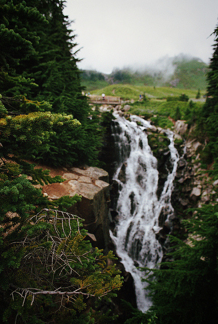calms:  nature &amp; vintage blog       