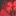 nicoleemichaels:  gingahhh:  WHO IS SHE  WH A T