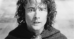 captainoftheblackwind:Lord of the Rings Alphabet:  Loyalty“You can trust us to stick with you throug