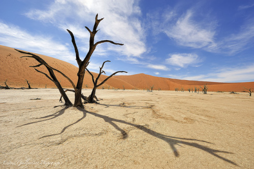 Arena of Death - Dead Vlei, Sossusvlei, Namibia by cedric_g on Flickr.