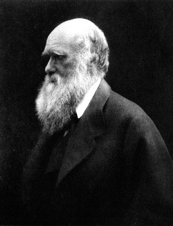 globalcausalityviolation:  unhistorical:  February 12, 1809: Charles Darwin is born.  …from the war of nature, from famine and death, the most exalted object which we are capable of conceiving, namely, the production of the higher animals, directly