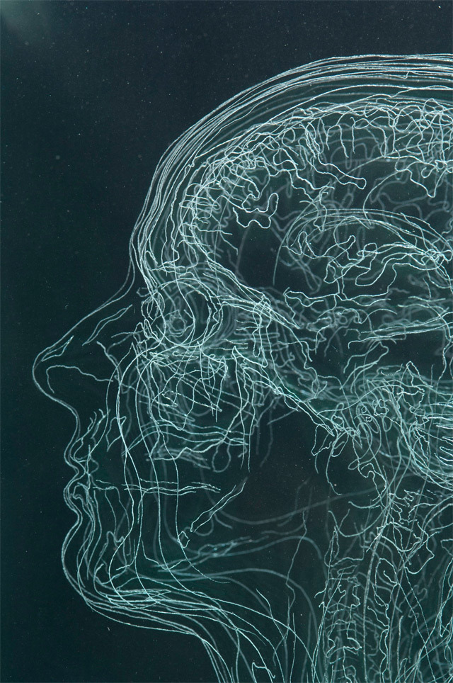 showslow:  Layered MRI Self-Portraits Engraved in Glass Sheets by Angela Palmer