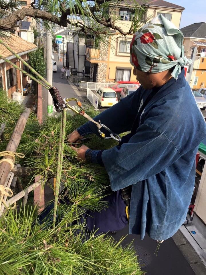 庭のことなら庭正 川崎市の庭師