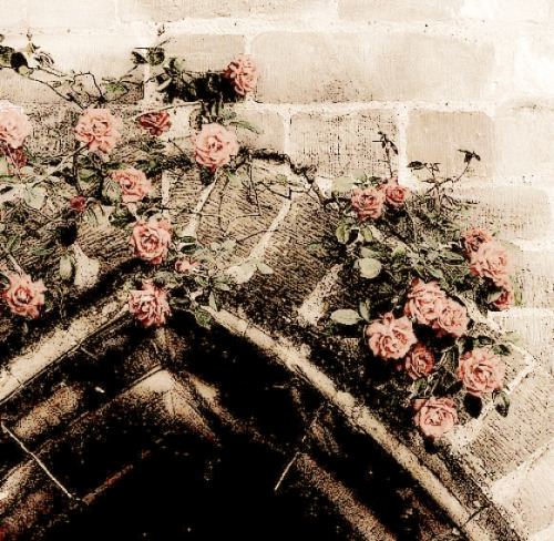 "The Princess Shall Indeed Grow In Grace And Beauty, Beloved By All Who Know Her. But, Before The Sun