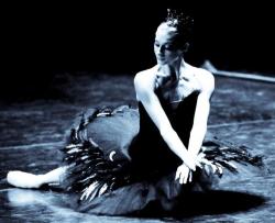 yoiness:   © Sasha Gouliaev  Yekaterina Kondaurova – Екатерина Кондаурова, Black Swan, Mariinsky Ballet 