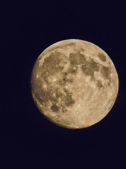 moonandspheres:  Waxing Gibbous Moon, 96% Full v2 by A Million Shards of Light on Flickr.