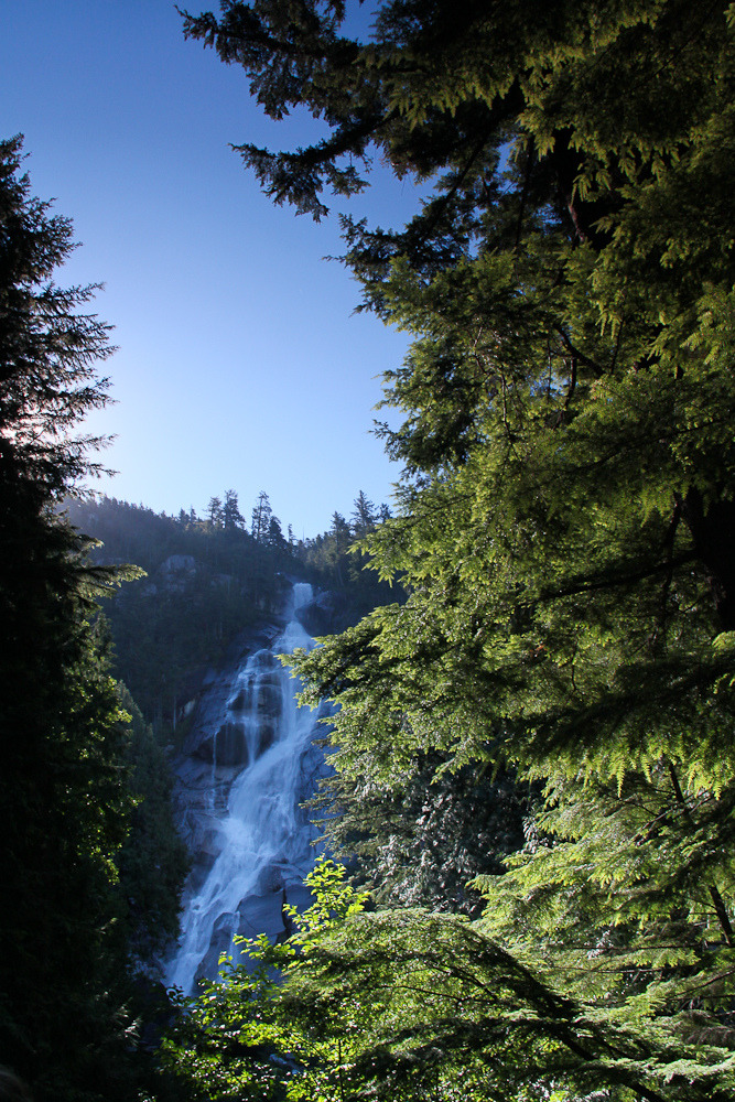 touchdisky:  Beyond the trees // amerzzw
