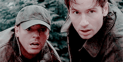 zevrns:    Every season of The X-Files | Season 4 
