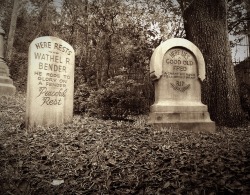 disneyblossom:  Walt Disney World - Magic Kingdom - Haunted Mansion - Graveyard