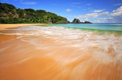 brazilwonders:  Praia do Sancho - Fernando