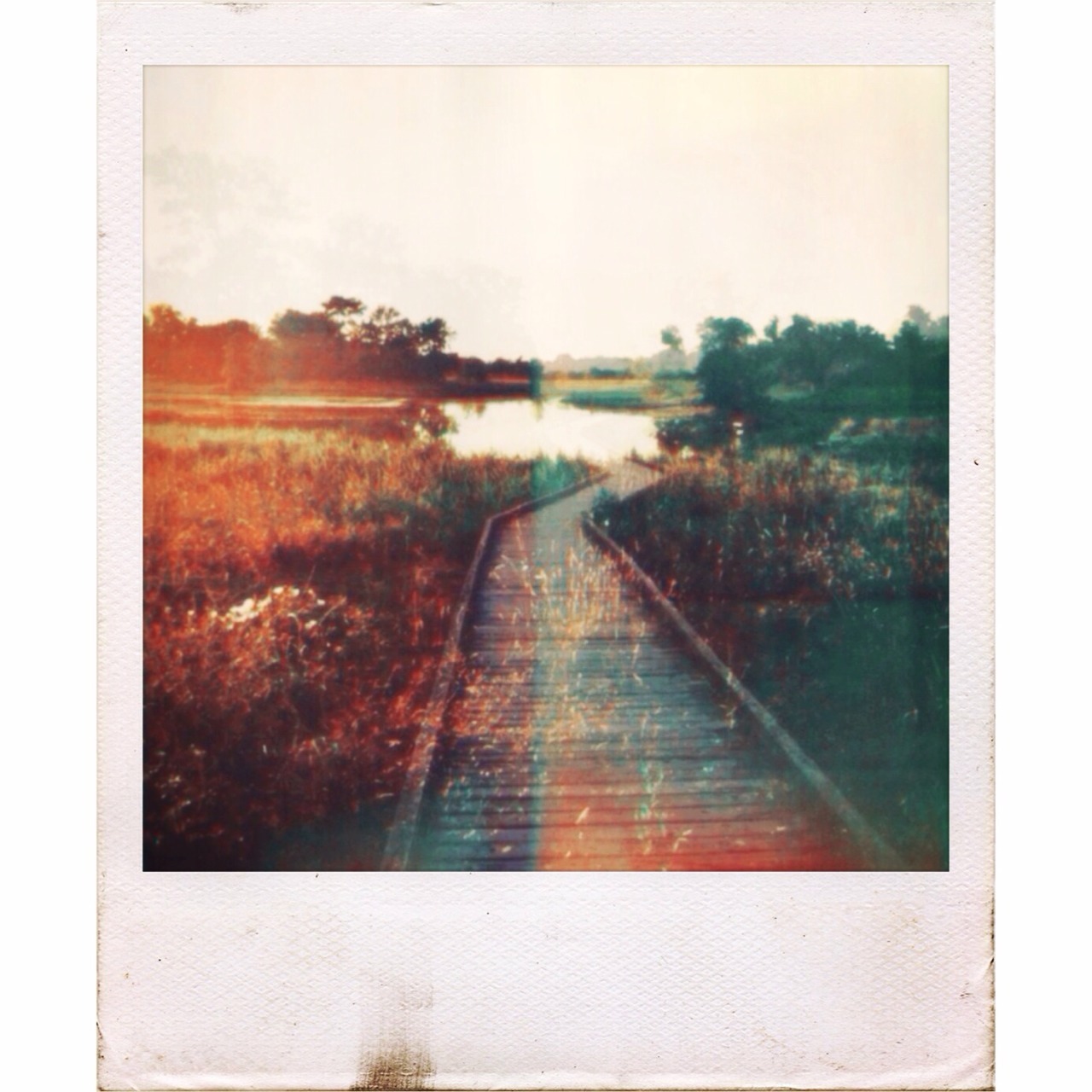beefycurtains:  Look at this rad pic I took today