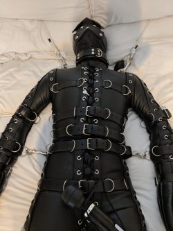 sparkypuppy1931: Shared from electrobound