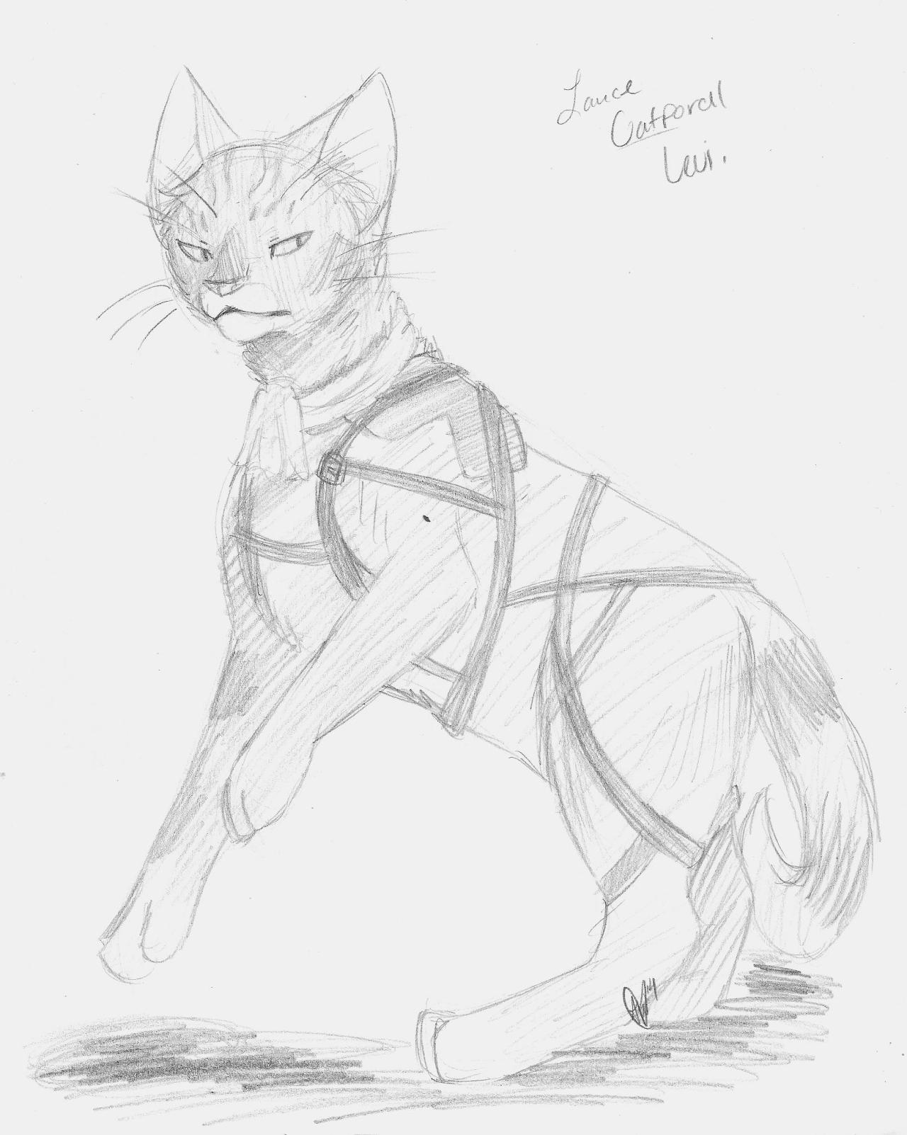 So I ve Been Working On Canines For Quite Awhile Now And I Haven t so-i-ve-been-working-on-canines-for-quite-awhile-now-and-i-haven-t