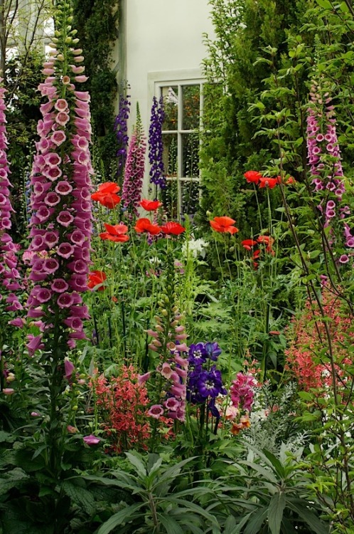 pagewoman: source Cottage Garden