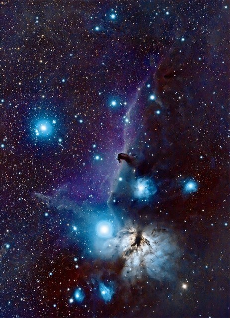 The Horsehead and the Flame Nebulas in the constellation Orion