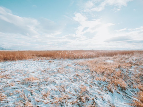 juliamstarr:Sunlit Snow 12.14.20Instagram