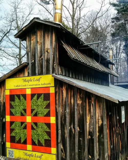 On the Maple Syrup trail… ( today’s adventures with @kelly_out_n_about ) #maplesyrup #s