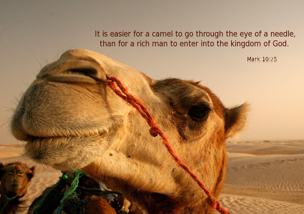 camel/natural hope many anchors Hebrews 6:19