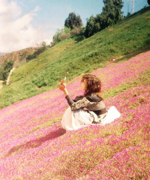 lesbianlightwood:zenvdaya:Zendaya’s for Wonderland Magazine by Petra Collins, June 2016.[Caption: 2 