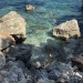 mayonezli: