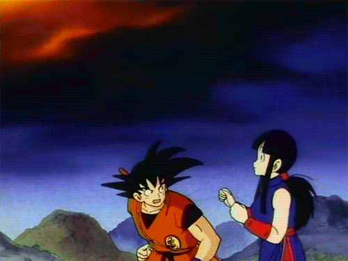 Tenkaichi Budokai