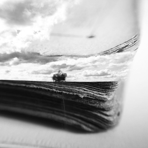 teachingliteracy:  Book of life (by jerzyjachym) 