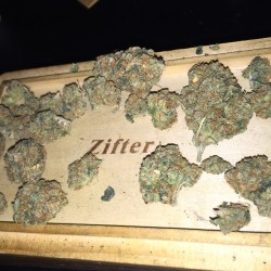 righteous-vibes:  Dat 🔥 #zifter #kasherkrew #dope #fire #dank #stonedbynature #nugs #buds #tricombs #crystals #hash #keif #pollen #nectar #loud #stanky #danky #higherthanmost #stoopid #piff #blunted #sift #stoned #Bleedat