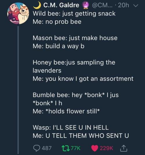 whitepeopletwitter: Bees are Bros