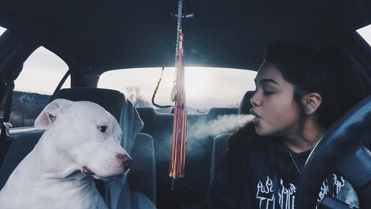 daddyfuker420:  My dog and thc is the only thing I need.