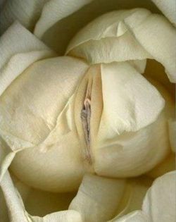 katietheslut:  Love, Katie the Slut