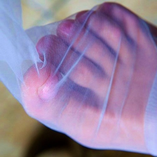 footsstuff:Love to kiss your nylon feet madam blue sweetness