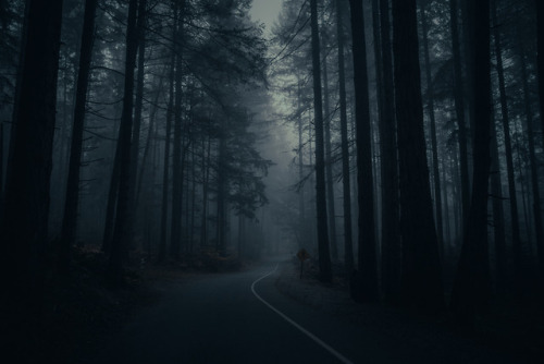 Point Defiance Park Tacoma Washington covered in fog. For more of my work: Instagram.com/r4s &am