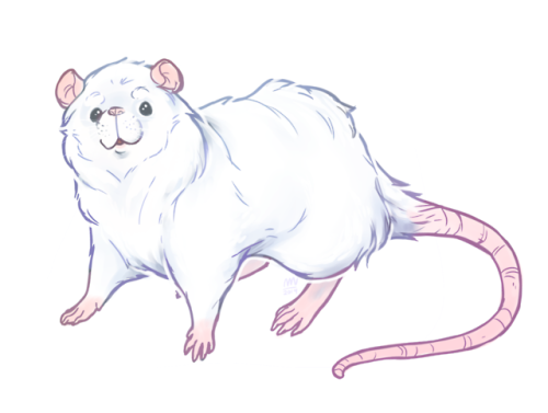 nebulamii: I drew dog/cat breeds as rats (plus one Darius) suggested by my twitch chat