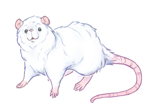 nebulamii: I drew dog/cat breeds as rats (plus one Darius) suggested by my twitch chat 