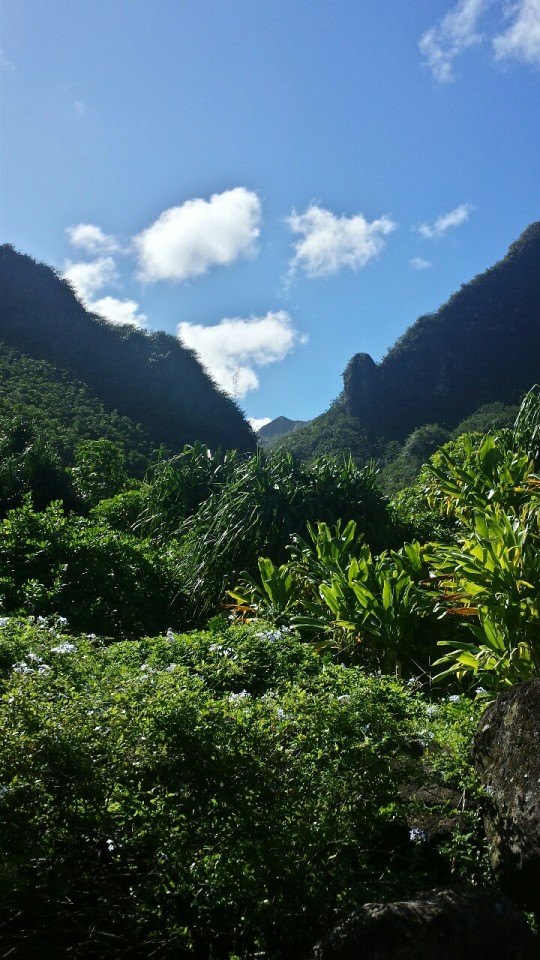 Easy Garden Trail After Intense Kayak Adventure.