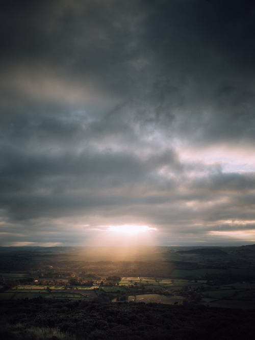 Crowcombe Part IIPhotographed by Freddie Ardley