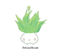 pkmnathon:  pokeplants  