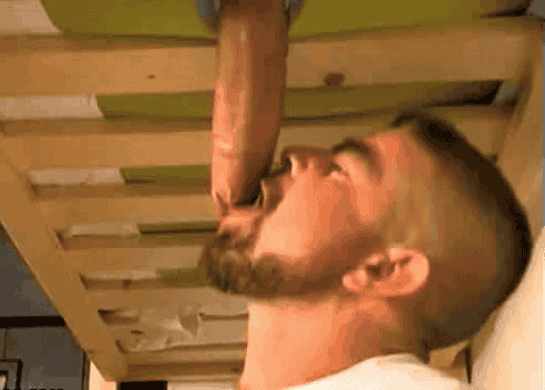Hornygay In Skandinavia