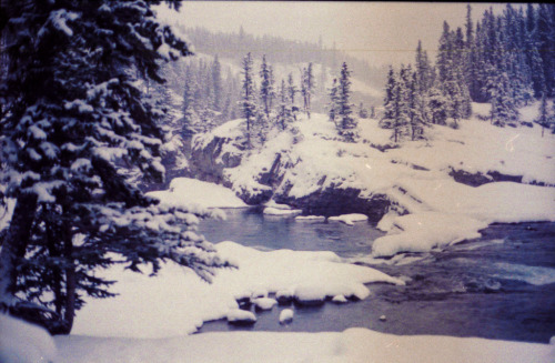 jacindaelena:{ Alberta }