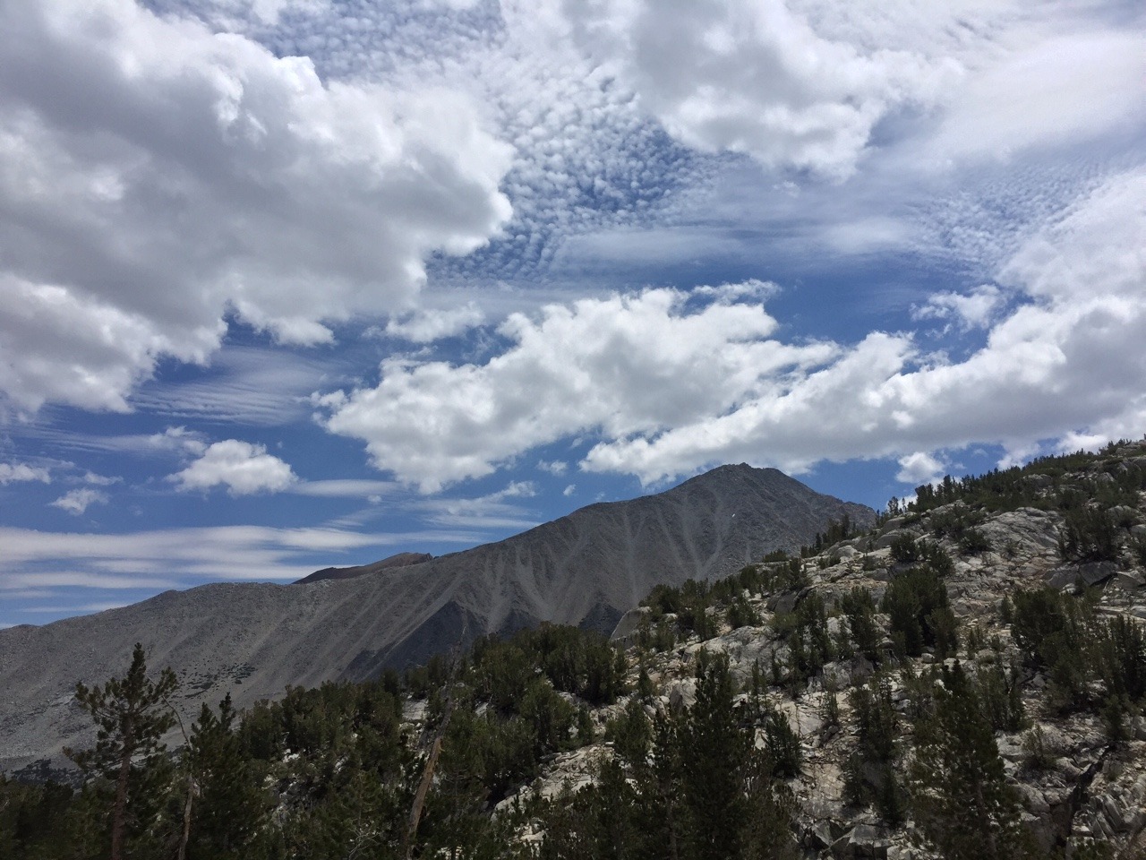 wackestoned:  Tbt pluton mapping in Rock Creek, CA. A summer day of mafic enclaves,