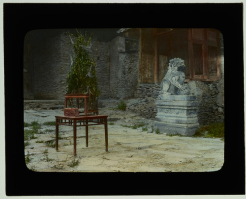 poppoppopblowblowbubblegum: glass lantern slides from china, 1917-19 1. noodle making 2. pounding pa