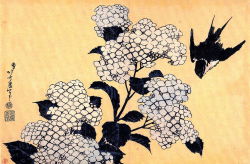 japanese-plants:  Hydrangea and Swallow by Katsushika Hokusai (1760 - 1849) 「あじさいに燕」 葛飾北斎 画 