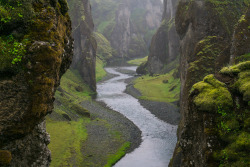 90377:   	Fjaðrárgljúfur, South Iceland