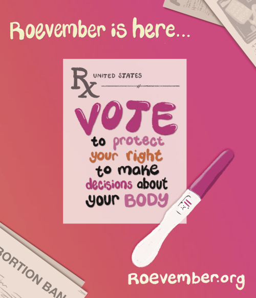 Happy #Roevember! Lets Vote Out Anti-abortion Politicans And Work To Increase Access To Abortion.