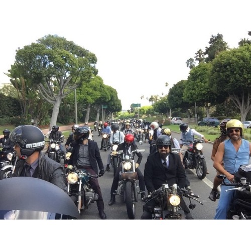 Better view of the street being taken over…. @triumphamerica  @motochopshop @dgrlosangeles #la #observatory #dgr #dgr2014 #thedistinguishedgentalmensride #triumphthruxton #triumph #thruxton #motoshopchop #deus #caferacer #bobber #oldschool #vintage