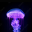 unforgettablejellyfish